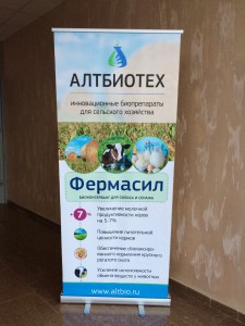 Стенды Ролл ап Стенды Ролл ап